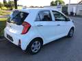 Kia Picanto Picanto 1.0 Edition 2. Hd 8-fach SHZ LenkHzg …! Weiß - thumbnail 3