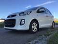 Kia Picanto Picanto 1.0 Edition 2. Hd 8-fach SHZ LenkHzg …! Weiß - thumbnail 5