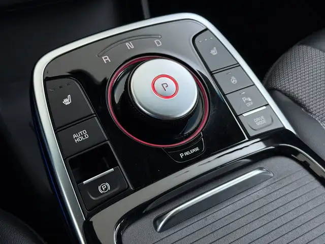 Kia e-Niro view 22