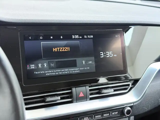 Kia e-Niro view 20