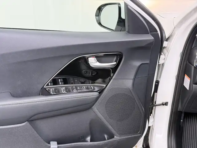 Kia e-Niro view 29