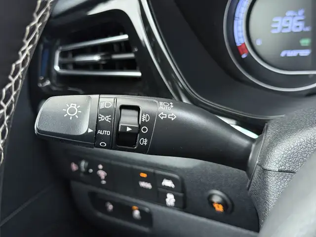 Kia e-Niro view 30