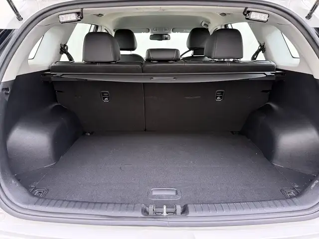Kia e-Niro view 25