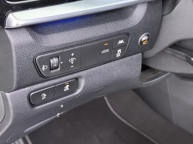 Kia e-Niro view 23