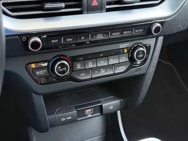 Kia e-Niro view 21