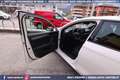 CUPRA Leon VZ 2.0 TSI DSG 5p 300CV Blanc - thumbnail 39
