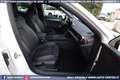 CUPRA Leon VZ 2.0 TSI DSG 5p 300CV Blanc - thumbnail 44