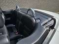 Peugeot 207 CC 1.6 VTi Noir & Blanc Leer/Ecc/Pdc Blanc - thumbnail 13