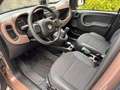 Fiat Panda 1.0 Mild Hybrid City Cross TRUSSARDI Marrone - thumbnail 9