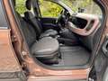 Fiat Panda 1.0 Mild Hybrid City Cross TRUSSARDI Marrone - thumbnail 10
