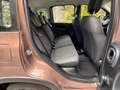 Fiat Panda 1.0 Mild Hybrid City Cross TRUSSARDI Marrone - thumbnail 13