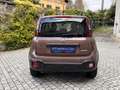 Fiat Panda 1.0 Mild Hybrid City Cross TRUSSARDI Marrone - thumbnail 4