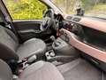 Fiat Panda 1.0 Mild Hybrid City Cross TRUSSARDI Marrone - thumbnail 11