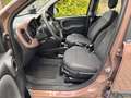 Fiat Panda 1.0 Mild Hybrid City Cross TRUSSARDI Marrone - thumbnail 8