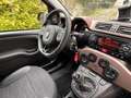 Fiat Panda 1.0 Mild Hybrid City Cross TRUSSARDI Marrone - thumbnail 12