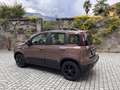 Fiat Panda 1.0 Mild Hybrid City Cross TRUSSARDI Marrone - thumbnail 6