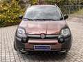 Fiat Panda 1.0 Mild Hybrid City Cross TRUSSARDI Marrone - thumbnail 3
