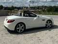 Mercedes-Benz SLK 250 SLK 250 CDI Alb - thumbnail 8