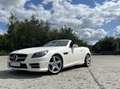 Mercedes-Benz SLK 250 SLK 250 CDI Білий - thumbnail 1