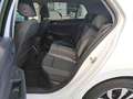 Volkswagen Golf VIII Active 2.0 TDI DSG | LED AHK RFK ACC Weiß - thumbnail 9