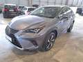 Lexus NX 300h 2.5 Luxury 4WD Gri - thumbnail 2