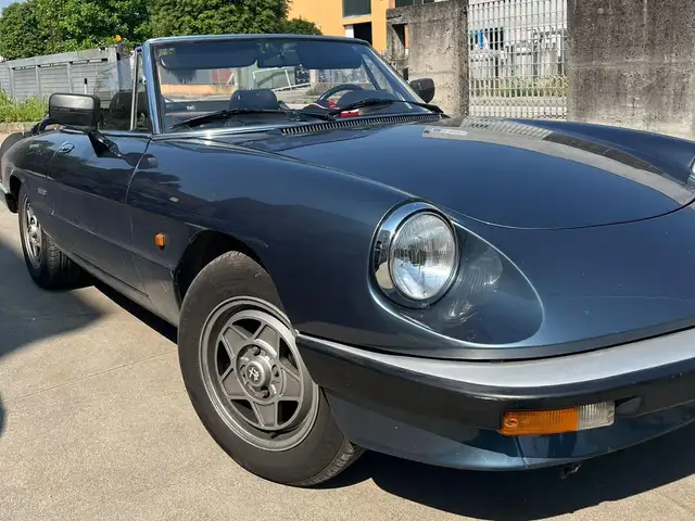 Alfa Romeo Spider