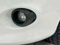 Ford Fiesta 5p 1.2 16v 82cv Blanc - thumbnail 10