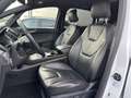 Ford S-Max 2.0 EB Aut. AWD ST-Line NAV+LED+ACC+PANO Weiß - thumbnail 9
