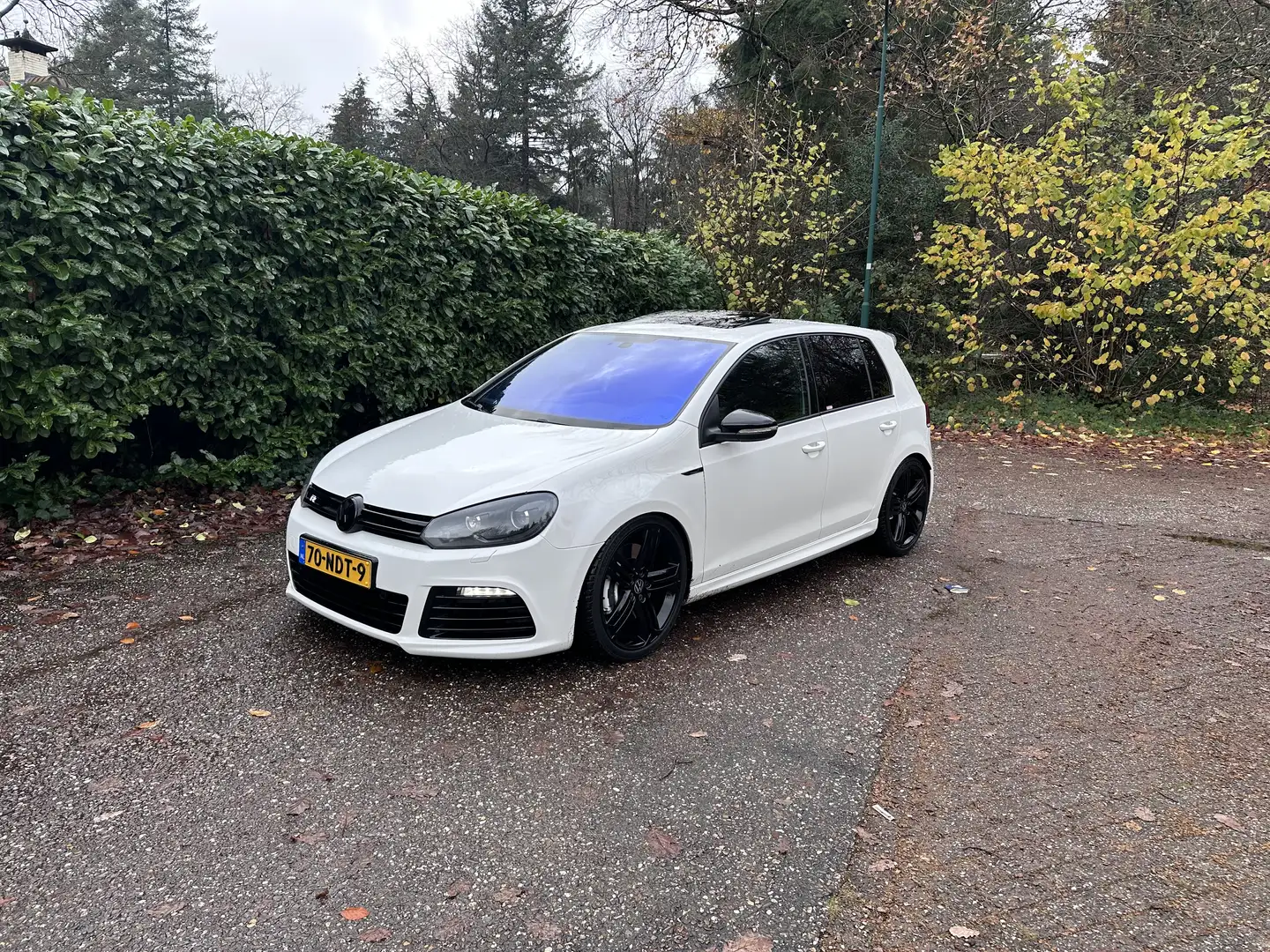 Volkswagen Golf R Schaalstoelen - 1