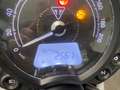 Triumph Speed Twin 900 Gris - thumbnail 5