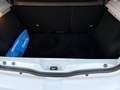 Dacia Sandero 1.5 dci Ambiance 75cv OK NEOPATENTATI Weiß - thumbnail 22