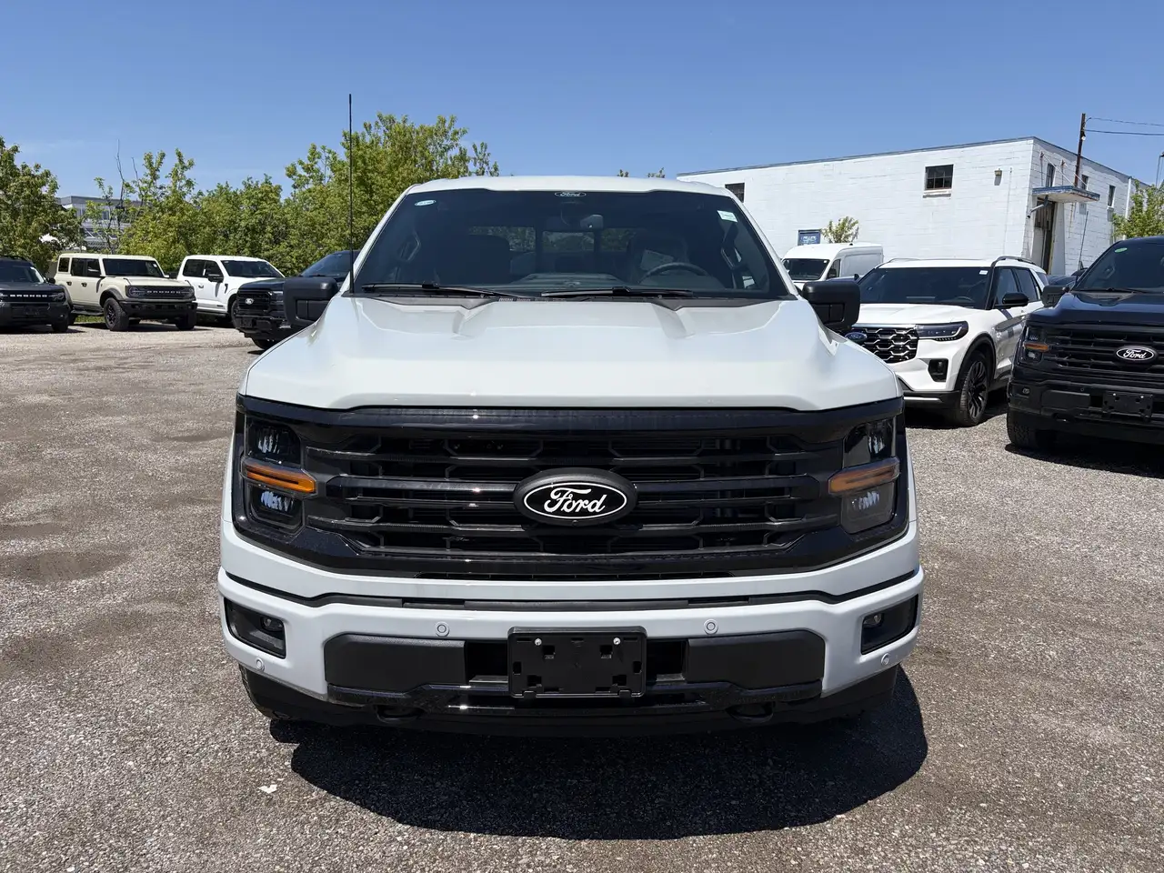 Ford F 150 снимка Ford F 150