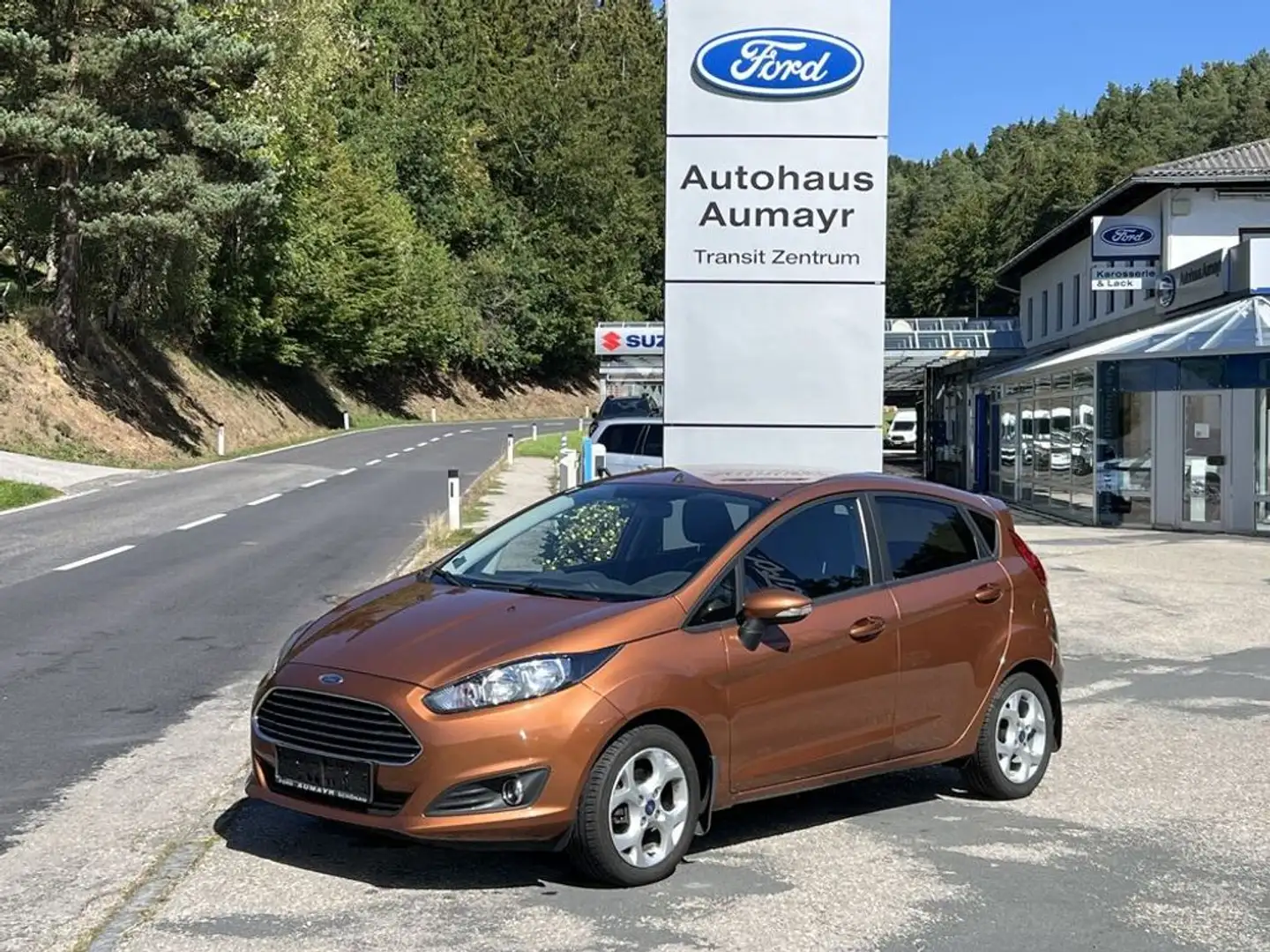 Ford Fiesta Trend Braun - 1
