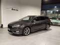 Ford Focus Focus SW 1.5 tdci ST-Line 120CV Grigio - thumbnail 1