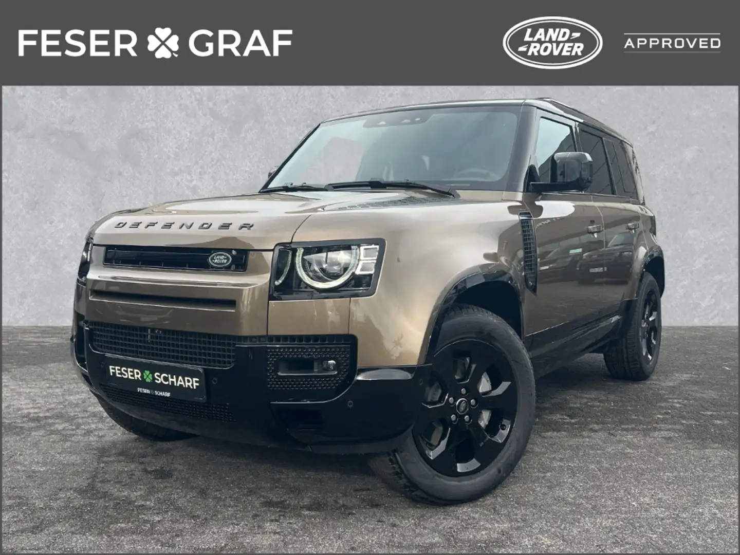 Land Rover Defender D300 110 X-Dynamic SE elek. AHK Pano Winter Komfor Braun - 1