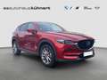 Mazda CX-5 SKYACTIV-G 194 Aut. Sports-Line LED 360° Bose DAB Rosso - thumbnail 8