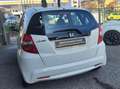 Honda Jazz Jazz 1.2 Trend Weiß - thumbnail 4