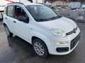 Fiat Panda MODELL FIAT Panda City Car 0.9 TwinAir Turbo 80 Weiß - thumbnail 27