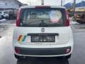 Fiat Panda MODELL FIAT Panda City Car 0.9 TwinAir Turbo 80 Weiß - thumbnail 17