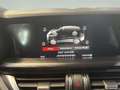 Alfa Romeo Stelvio Stelvio 2.2 JTD *Camera * GPS * USB * Rouge - thumbnail 25