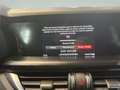Alfa Romeo Stelvio Stelvio 2.2 JTD *Camera * GPS * USB * Rouge - thumbnail 27