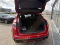 Alfa Romeo Stelvio Quadrifoglio*PANO*21"Zoll*ETNA ROSSO MET.* Rot - thumbnail 4