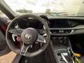 Alfa Romeo Stelvio Quadrifoglio*PANO*21"Zoll*ETNA ROSSO MET.* Rot - thumbnail 10