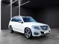 Mercedes-Benz GLK 250 CDI 4Matic Memo*Navi*Shzg*Bi-Xenon*AHK Weiß - thumbnail 8