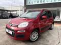 Fiat Panda Pequeño Manual de 5 Puertas Rojo - thumbnail 5