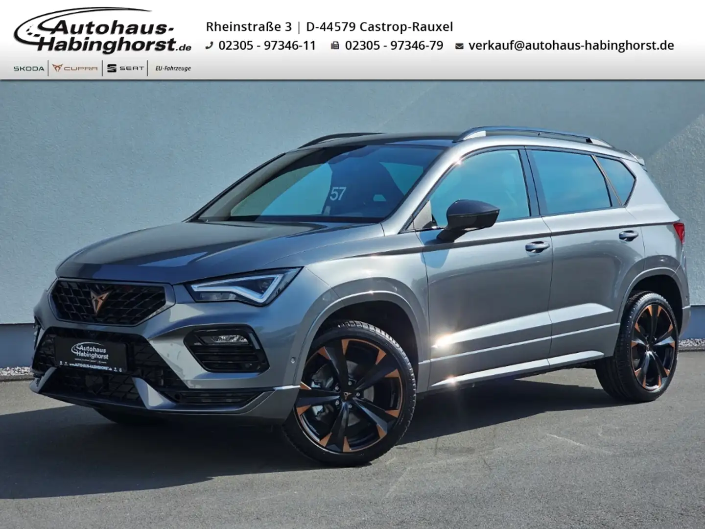 CUPRA Ateca 1.5 TSI DSG AHK Beats Navi Kamera Full Link Alu19 Grau - 1