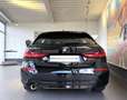 BMW 116 i Advantage LiveCprof+LED+SITZH+TEMP+WLAN+DAB Schwarz - thumbnail 13