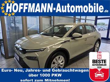 Selection 63kWh, Navi,Sitzhzg.,Kamera,AHK