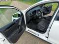 Volkswagen Golf GTD 2.0 TDI dsg 170 cv Bianco - thumbnail 10