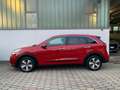 Kia Niro 1.6 GDI HEV STYLE ADAS PACK DCT UNIPROP Rosso - thumbnail 3